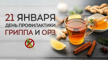 Профилактика гриппа и ОРЗ Профилактика гриппа и ОРЗ.