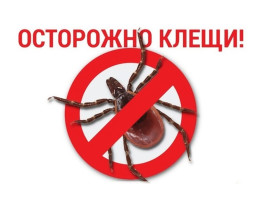 Осторожно - клещи! Осторожно - клещи!.